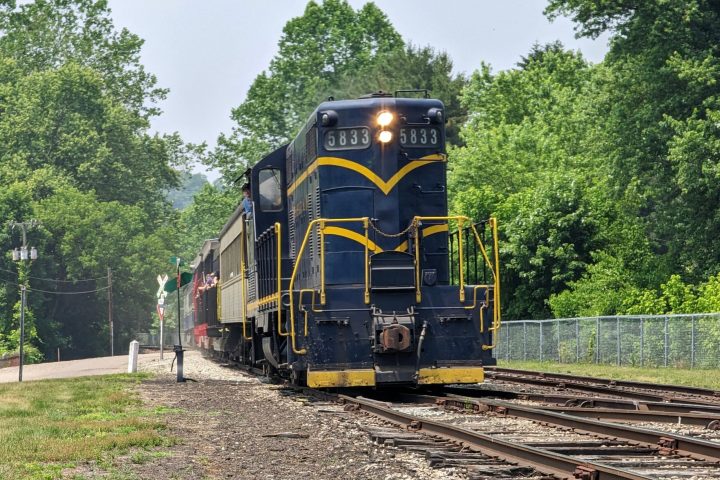 a train traveling down train tracks near a forest