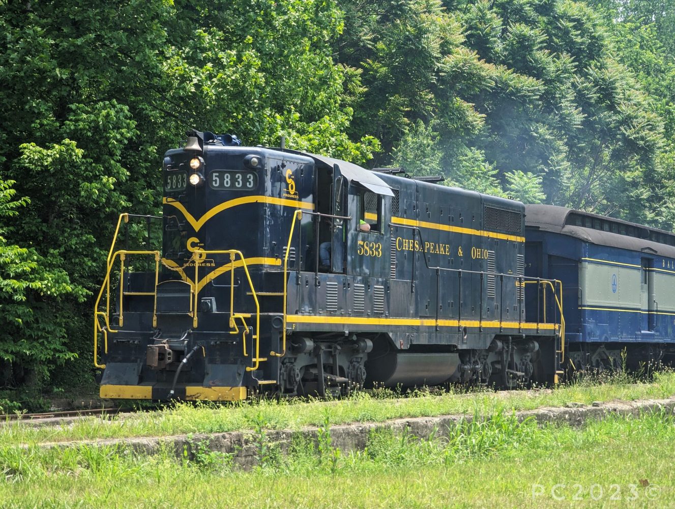 a train that is sitting in the grass